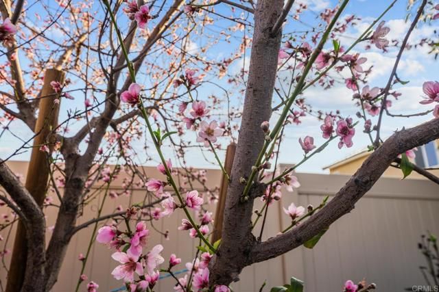 28428 Fressia Drive, Winchester, CA 92596