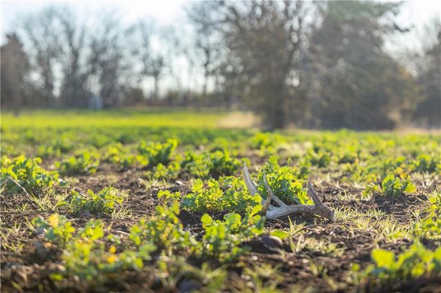 39343 W 399th Street, Lane, KS 66042