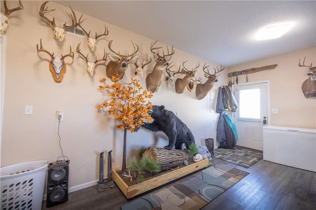 39343 W 399th Street, Lane, KS 66042