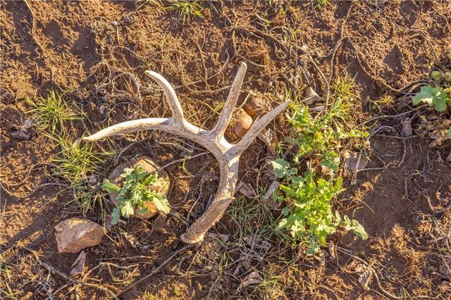 39343 W 399th Street, Lane, KS 66042