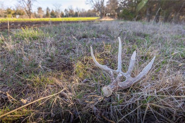 39343 W 399th Street, Lane, KS 66042