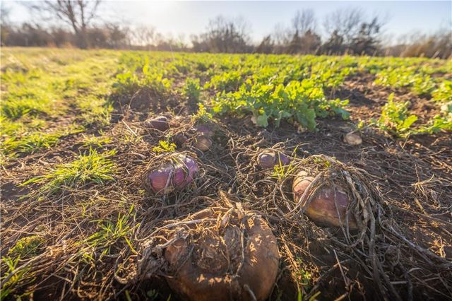 39343 W 399th Street, Lane, KS 66042