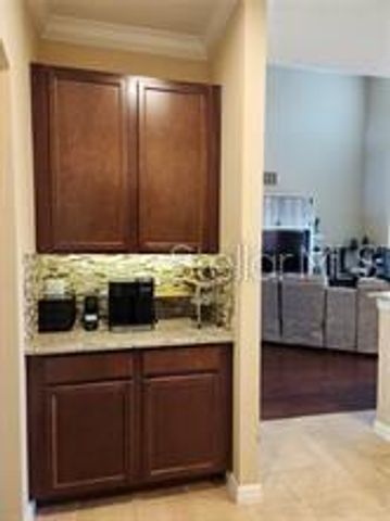 17419 BELLA NOVA DRIVE, Orlando, FL 32820
