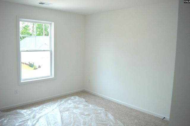 316 Conductor Lane, Irmo, SC 29063