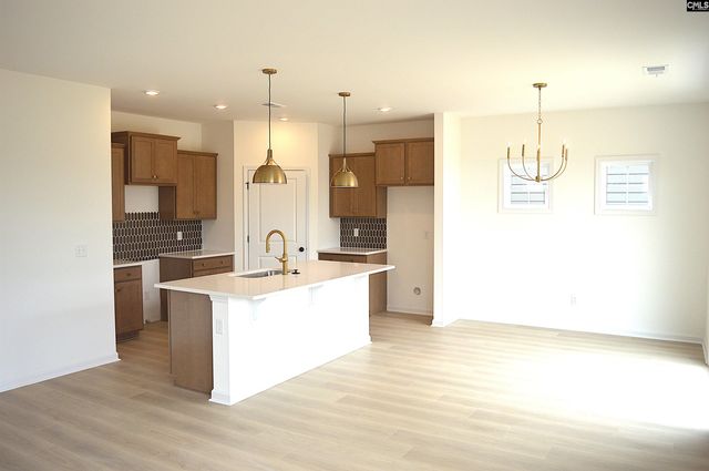 316 Conductor Lane, Irmo, SC 29063