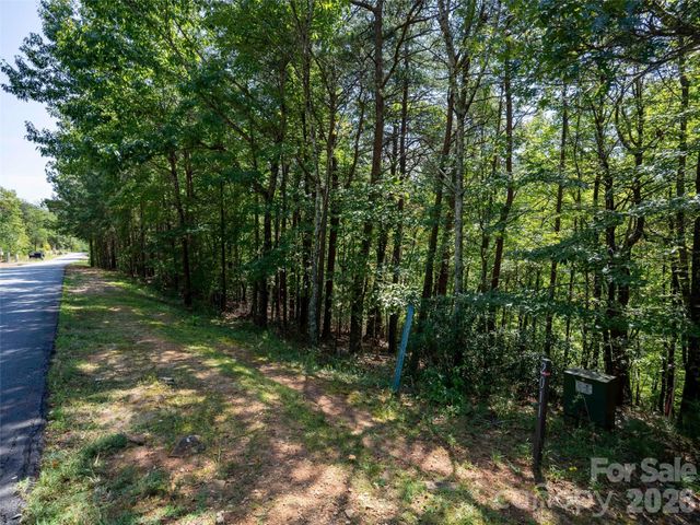 Lot 2010 Deep Gap Farm None W, Mill Spring, NC 28756