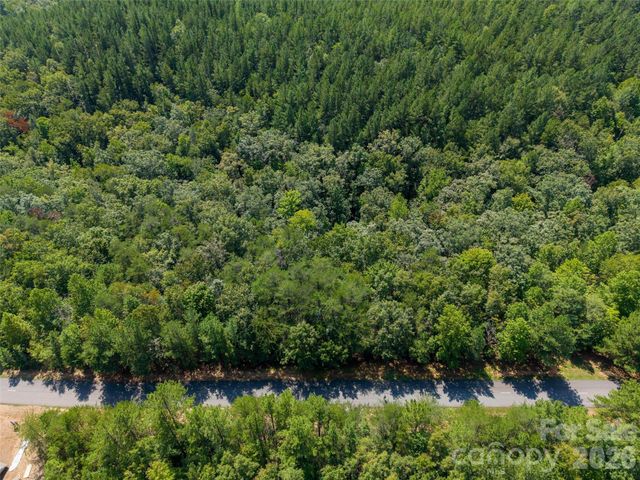 Lot 2010 Deep Gap Farm None W, Mill Spring, NC 28756