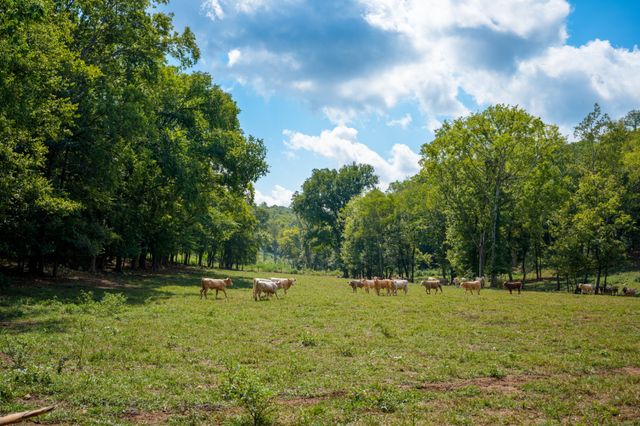 4303 Moore Ln, Culleoka, TN 38451