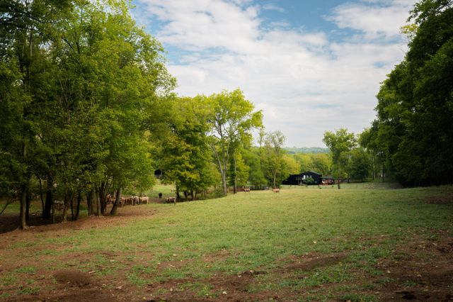 4303 Moore Ln, Culleoka, TN 38451