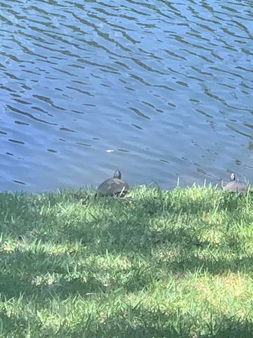 239 SW 3rd Street, Pompano Beach, FL 33060