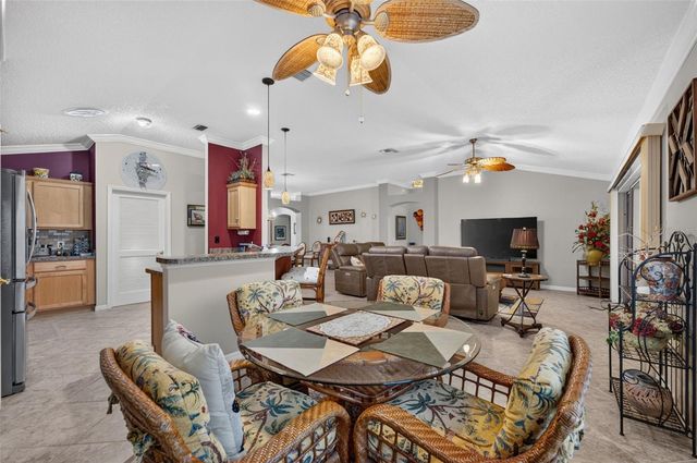17246 SE 85TH WILLOWICK CIRCLE, The Villages, FL 32162