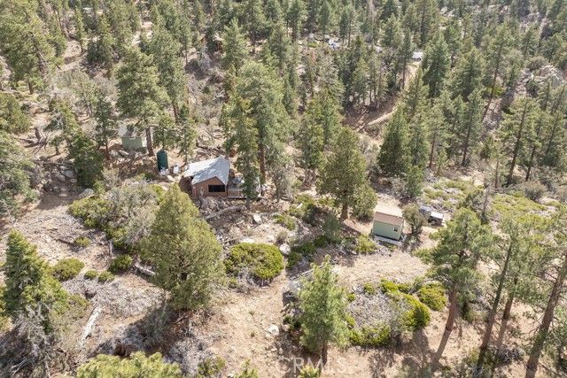 4535 Ironwood, Angelus Oaks, CA 92305