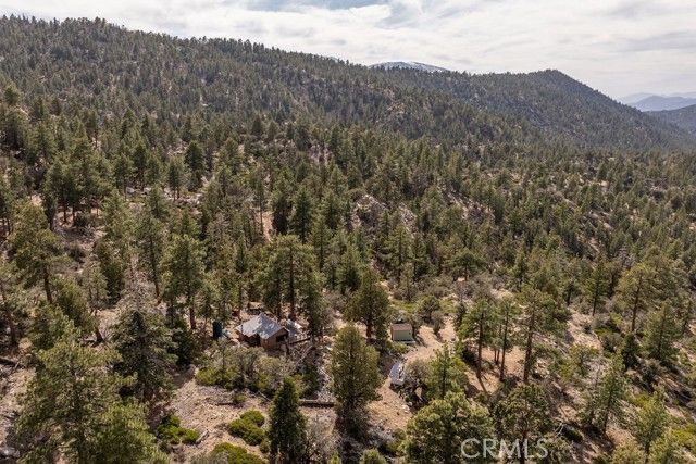 4535 Ironwood, Angelus Oaks, CA 92305