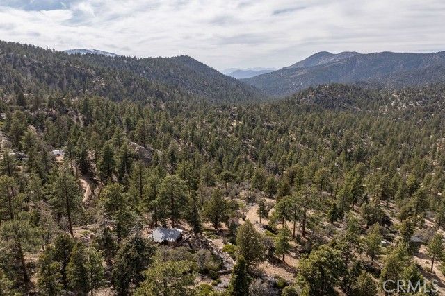 4535 Ironwood, Angelus Oaks, CA 92305