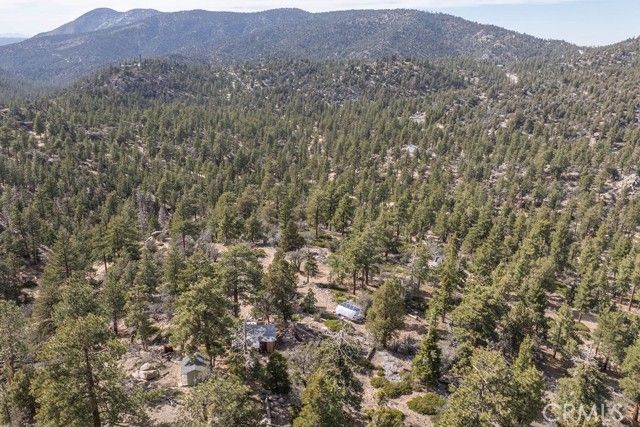 4535 Ironwood, Angelus Oaks, CA 92305