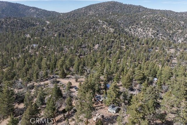 4535 Ironwood, Angelus Oaks, CA 92305