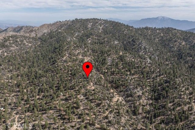 4535 Ironwood, Angelus Oaks, CA 92305