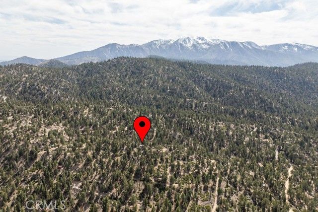 4535 Ironwood, Angelus Oaks, CA 92305