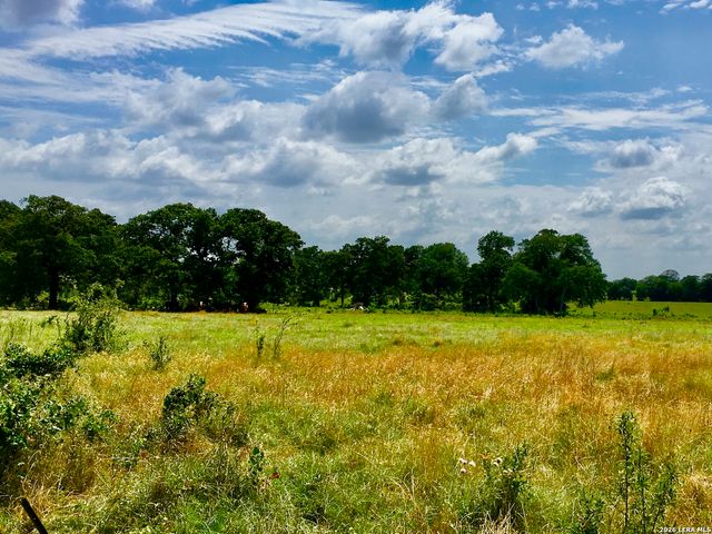 1152 A County Road 227, Falls City, TX 78113