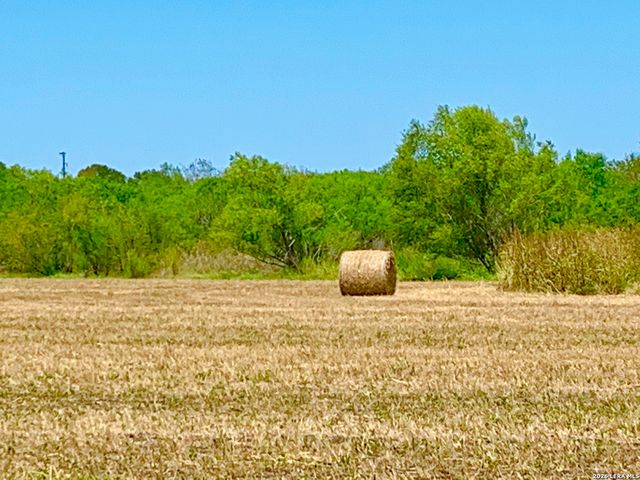 1152 A County Road 227, Falls City, TX 78113