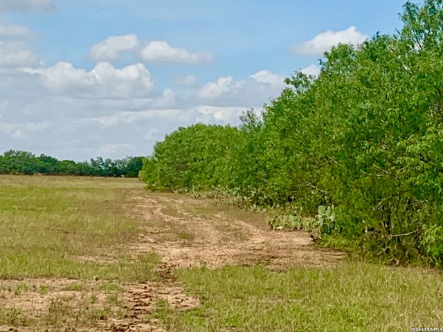 1152 A County Road 227, Falls City, TX 78113