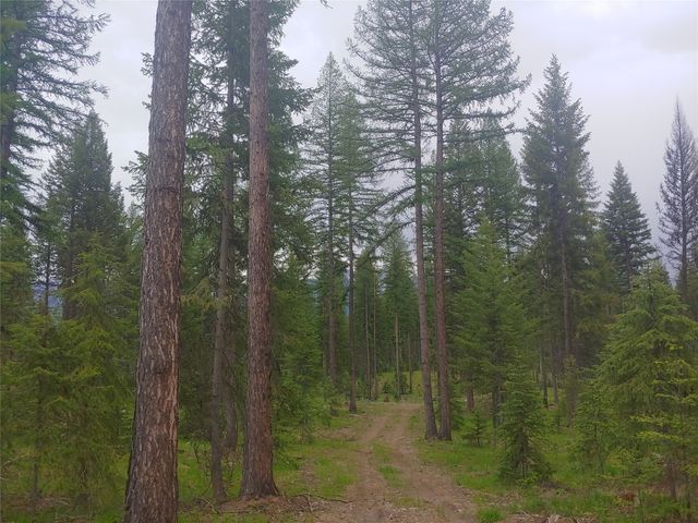 NHN Off Styler Drive, Condon, MT 59826