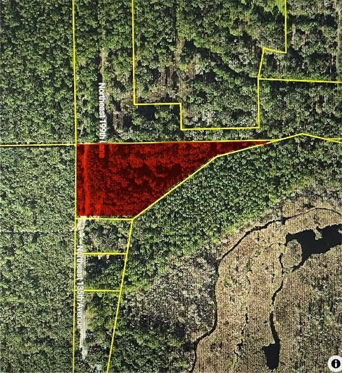 TBD NE 135TH AVENUE, Fort Mc Coy, FL 32134