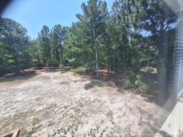 19 Ribbon Oak Court, Sanford, NC 27332