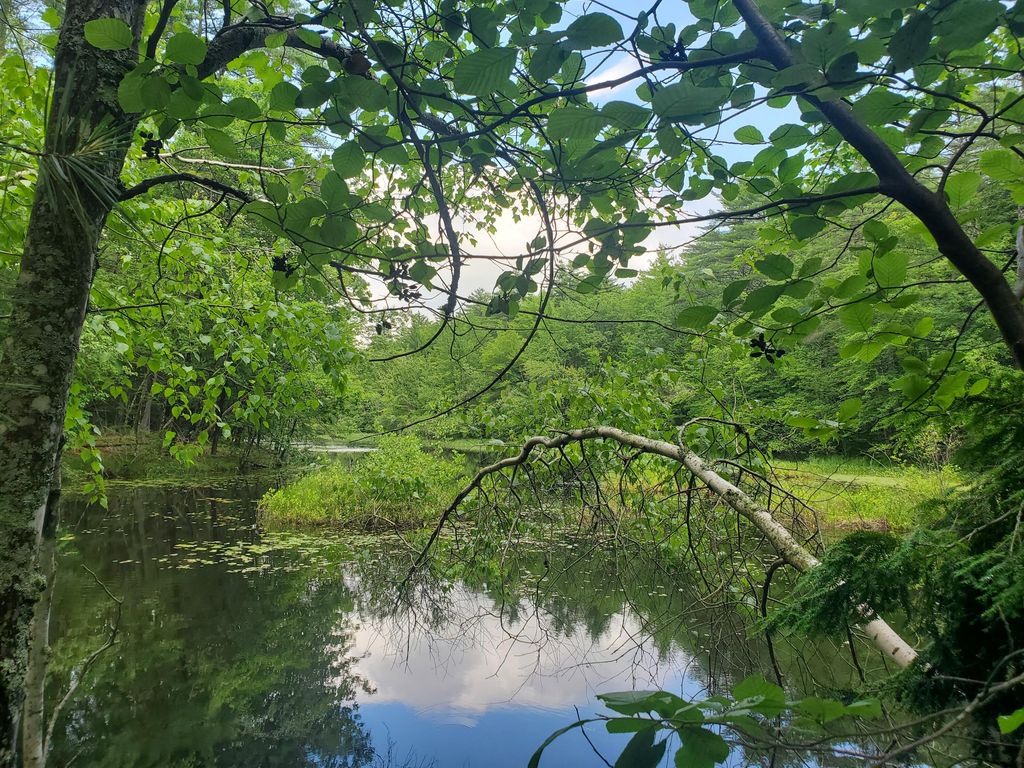 Lot #36 Beaver Brook Road, Limerick, ME 04048 — exterior