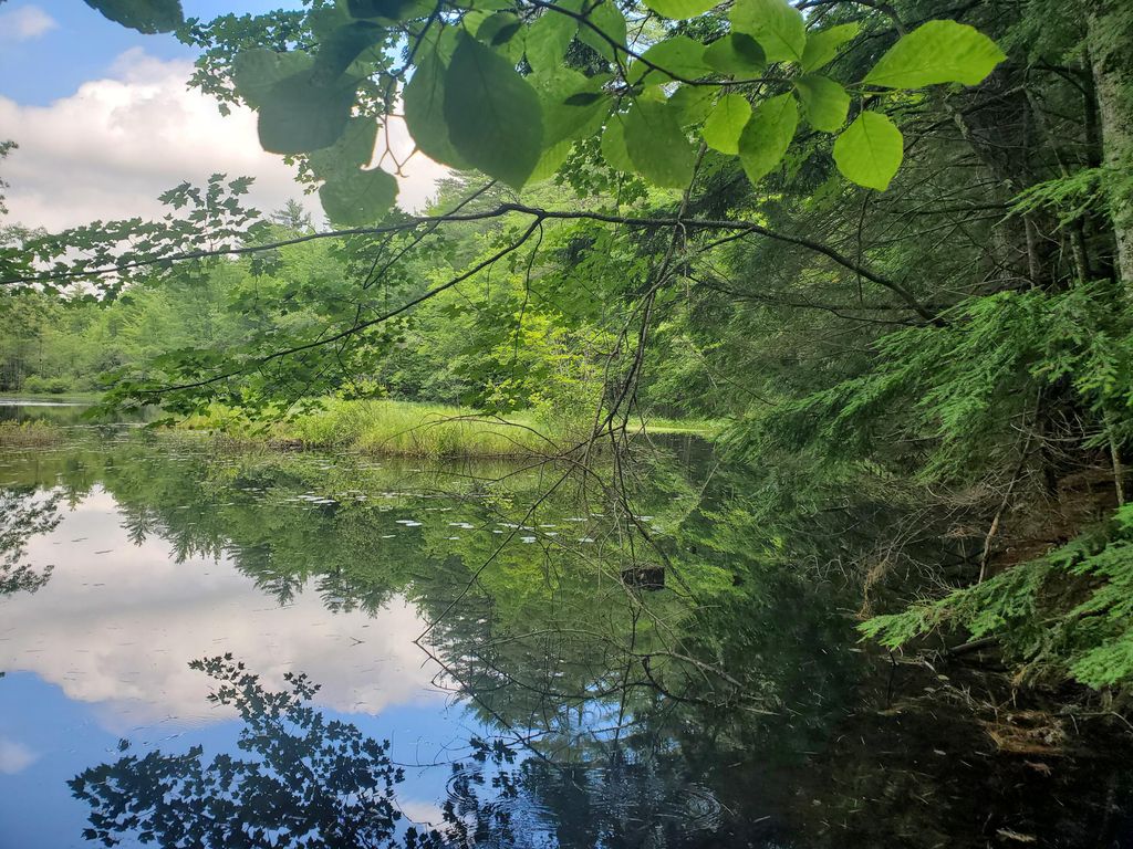 Lot #36 Beaver Brook Road, Limerick, ME 04048 — photo 2