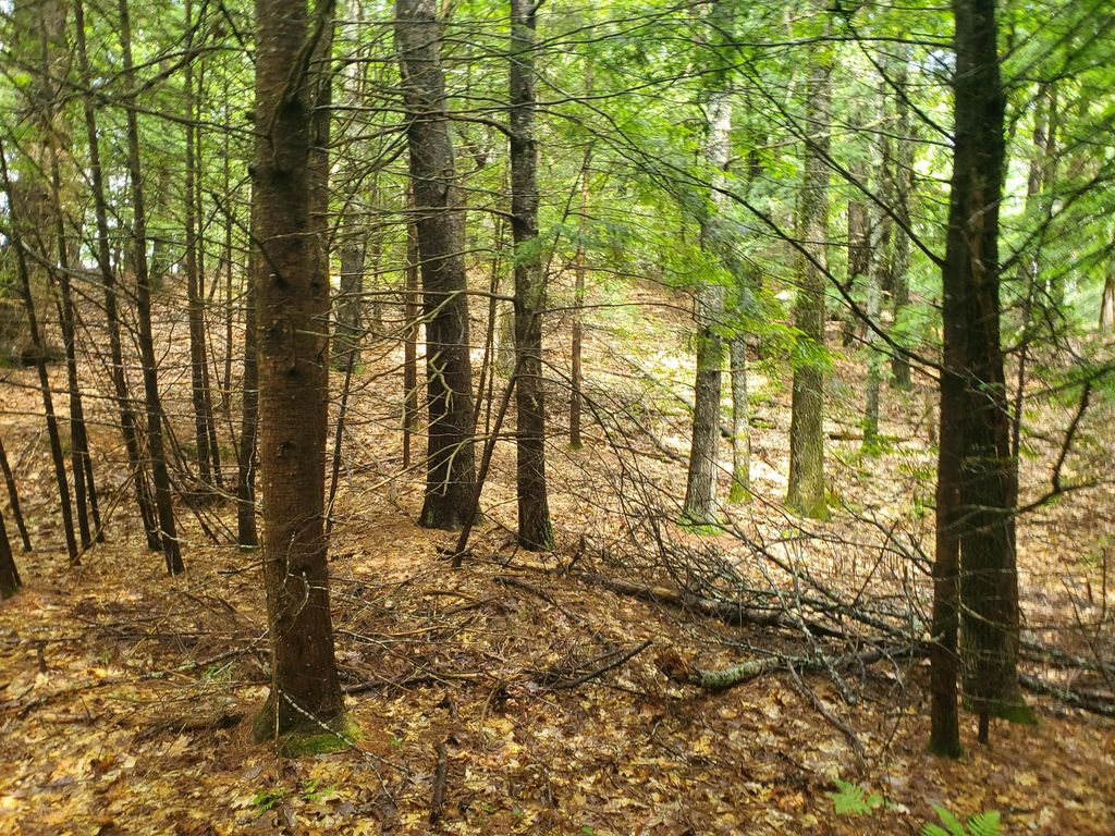 Lot #36 Beaver Brook Road, Limerick, ME 04048 — photo 3