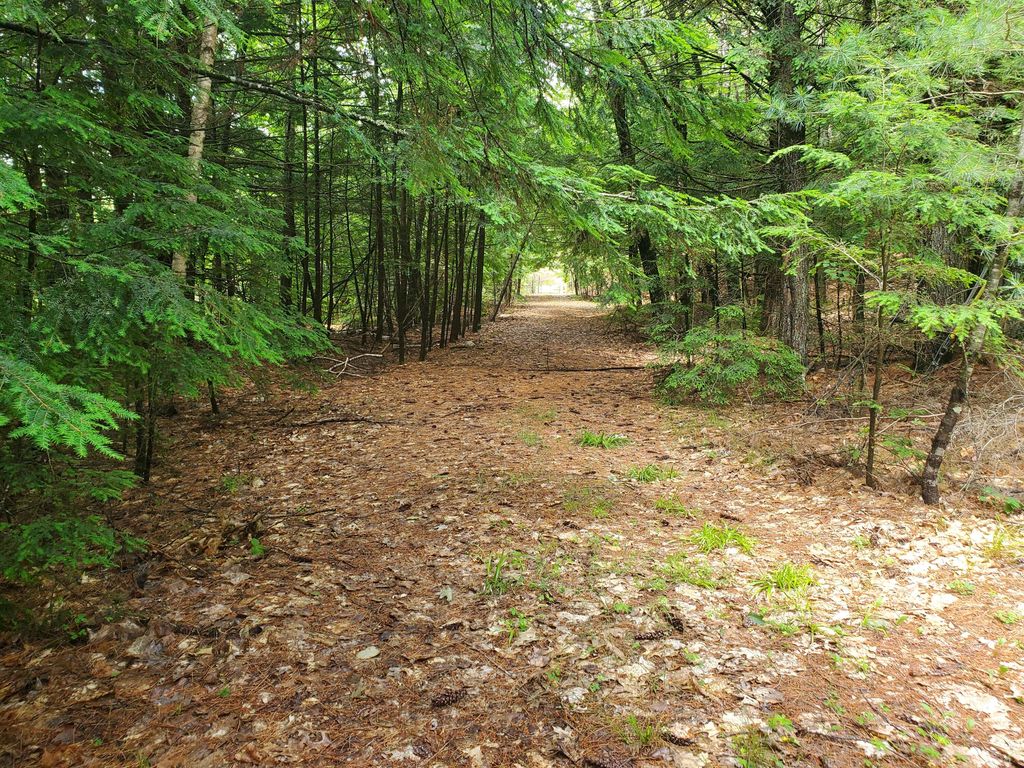 Lot #36 Beaver Brook Road, Limerick, ME 04048 — photo 4