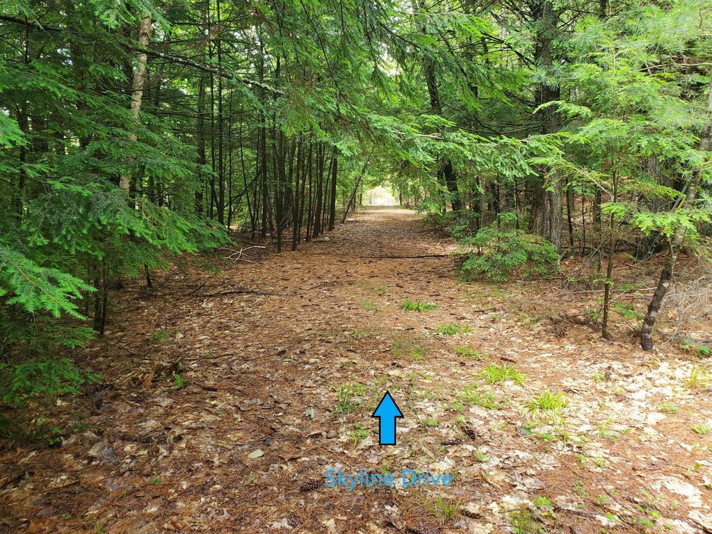 Lot #36 Beaver Brook Road, Limerick, ME 04048 — photo 5