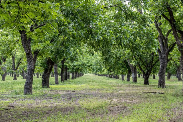 2184 Middlewood Circle, Granbury, TX 76049