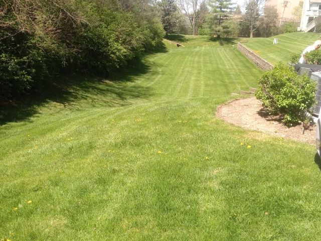 5434 Ashbrook Place -, Downers Grove, IL 60515