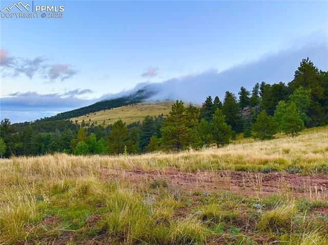 908 Penrose Circle, Cripple Creek, CO 80813