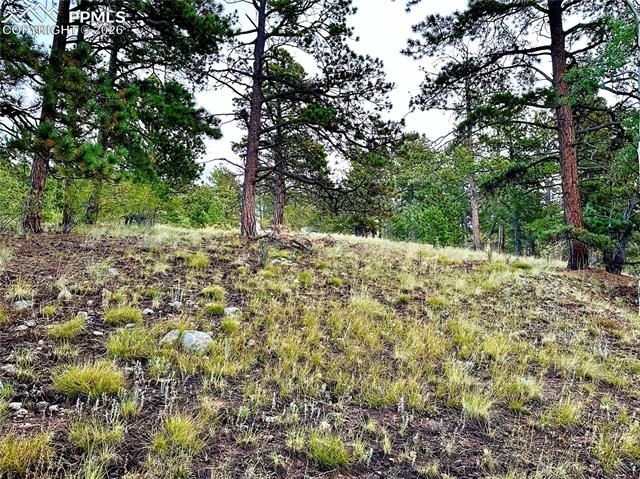 908 Penrose Circle, Cripple Creek, CO 80813
