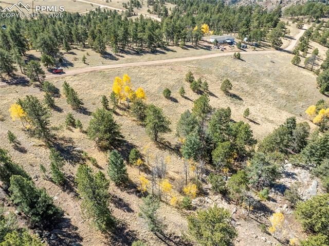 908 Penrose Circle, Cripple Creek, CO 80813