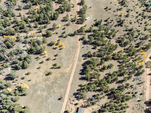 908 Penrose Circle, Cripple Creek, CO 80813