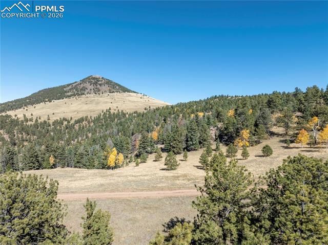 908 Penrose Circle, Cripple Creek, CO 80813