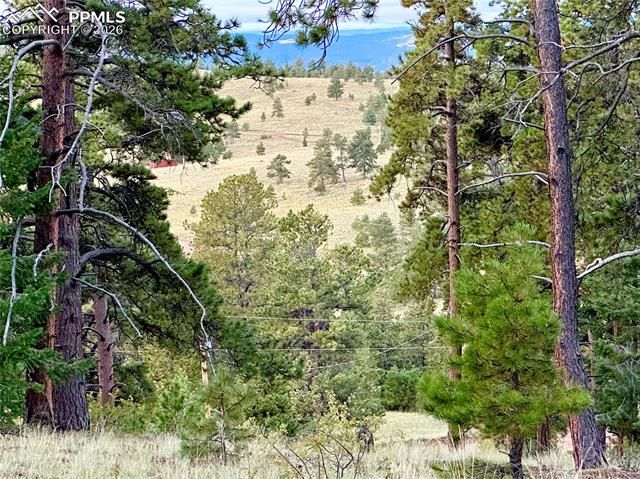 908 Penrose Circle, Cripple Creek, CO 80813
