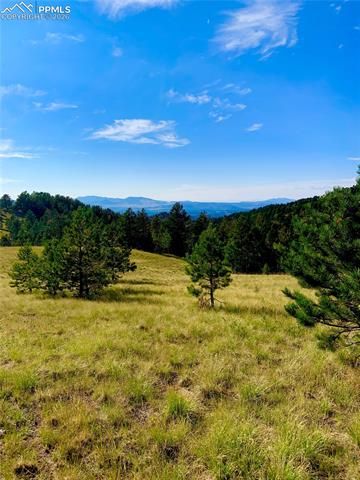 908 Penrose Circle, Cripple Creek, CO 80813