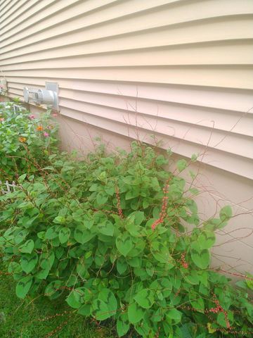 1460 Hoyt Avenue E, Saint Paul, MN 55106