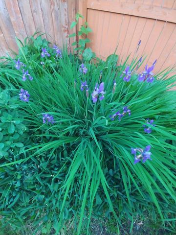 1460 Hoyt Avenue E, Saint Paul, MN 55106