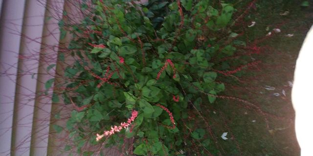 1460 Hoyt Avenue E, Saint Paul, MN 55106