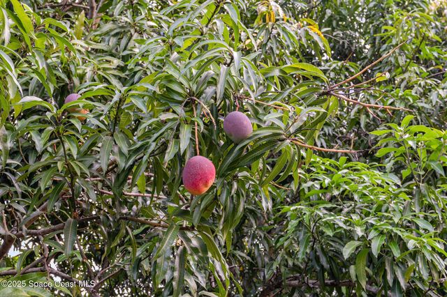 4245 Hillview Circle, Merritt Island, FL 32952