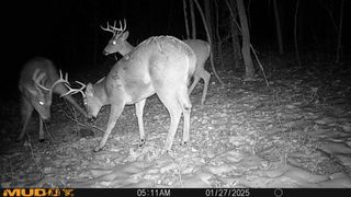 0 Shannon Road, Frazeysburg, OH 43822