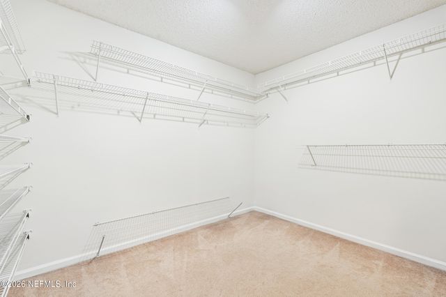 13469 ASHFORD WOOD Court E, Jacksonville, FL 32218