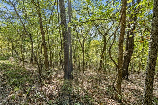 Tract 2 W Hicks Road, Nixa, MO 65714