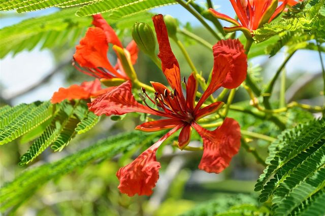 1105 92ND STREET NW, Bradenton, FL 34209